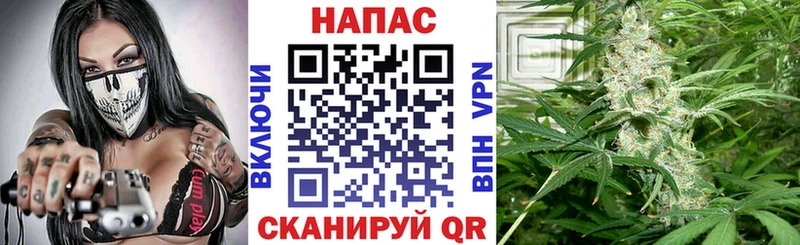 Где продают наркотики Чудово Кокаин  ГАШ  АМФ  Марихуана  Alpha-PVP 