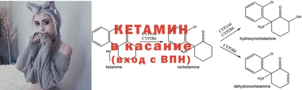 таблы Богданович