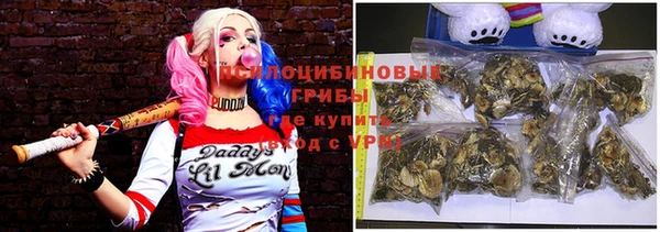 метамфетамин Богородицк