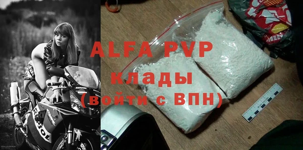 дмт Бородино